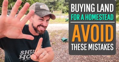 6 Mistakes to AVOID when Buying Raw Land {for a HOMESTEAD}