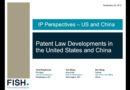 Webinar | IP Perspectives – US and China: Patent Law Developments in the United States and China