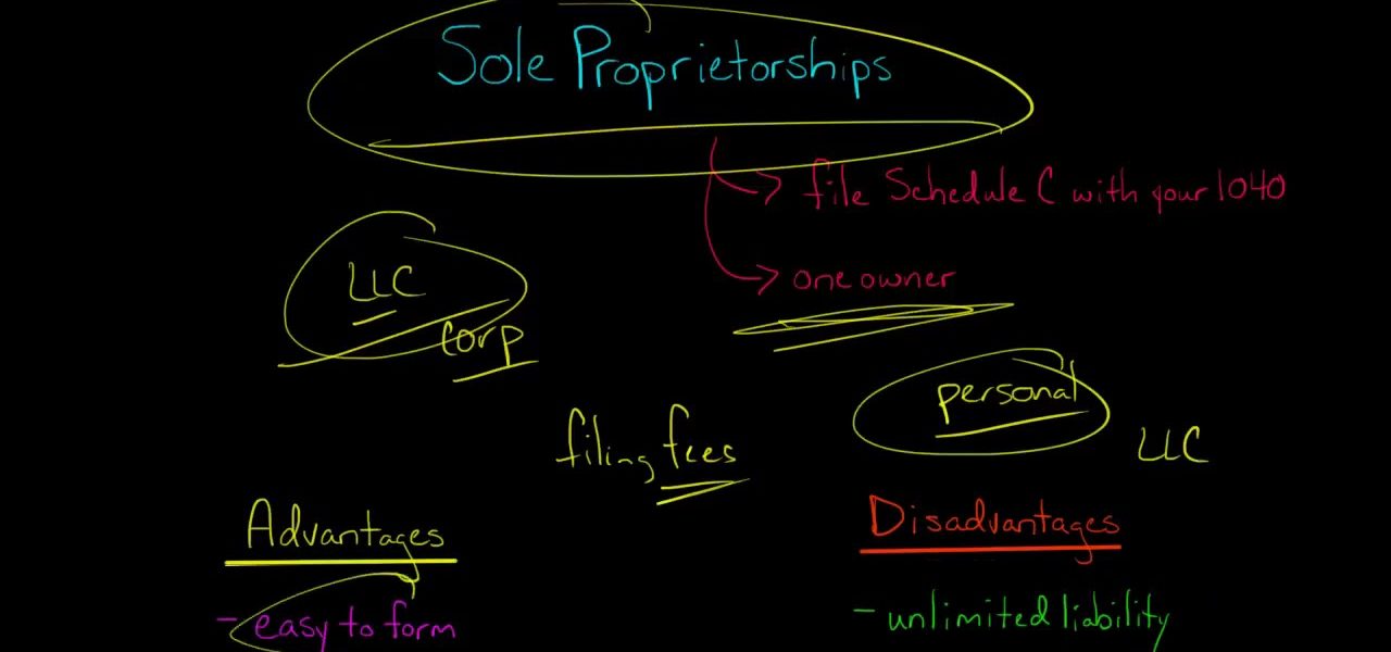 Sole Proprietorships | Advantages and Disadvantages