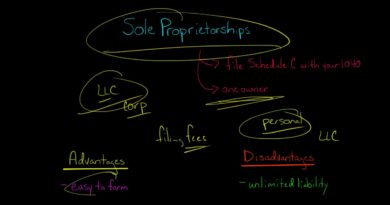 Sole Proprietorships | Advantages and Disadvantages