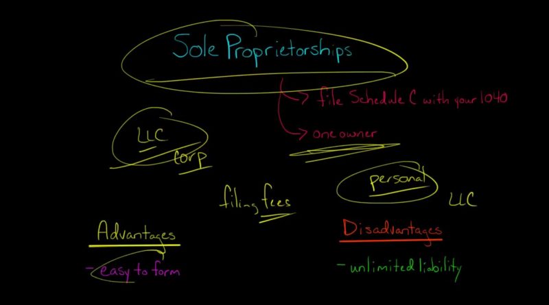 Sole Proprietorships | Advantages and Disadvantages