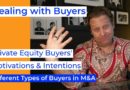 Understanding Private Equity Buyers in Mergers and Acquisitions