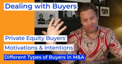 Understanding Private Equity Buyers in Mergers and Acquisitions