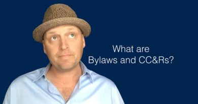 What are Bylaws and CC&Rs?