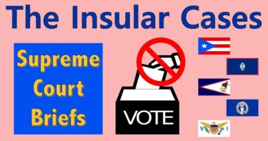 Why 3.5 Million American Citizens Don't Get to Vote | The Insular Cases