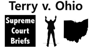 Why Stop-and-Frisk is Legal | Terry v. Ohio